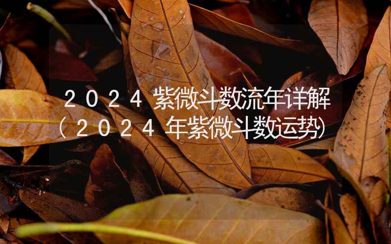 2024紫微斗数流年详解(2024年紫微斗数运势)